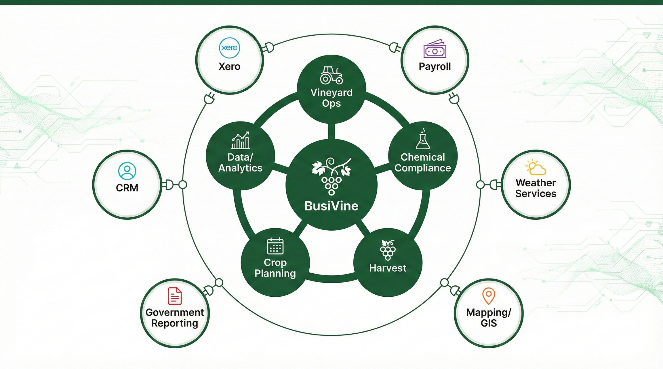 Hub-and-spoke diagram showing BusiVine's owned domains versus connected external systems